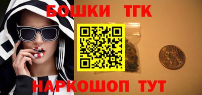 соль ск Сланцы