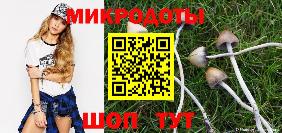 Галлюциногенные грибы GOLDEN TEACHER Москва