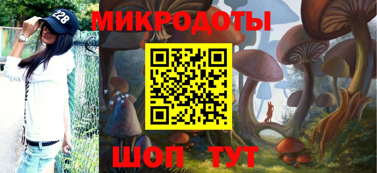 Галлюциногенные грибы прущие грибы  Псилоцибиновые грибы мицелий  Москва  Вход с VPN 